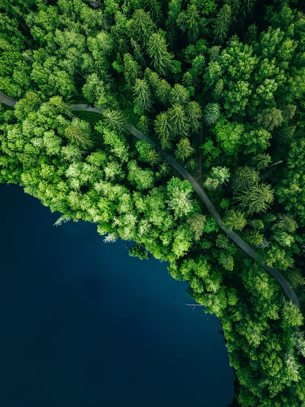 Drönarfoto på skog och sjö