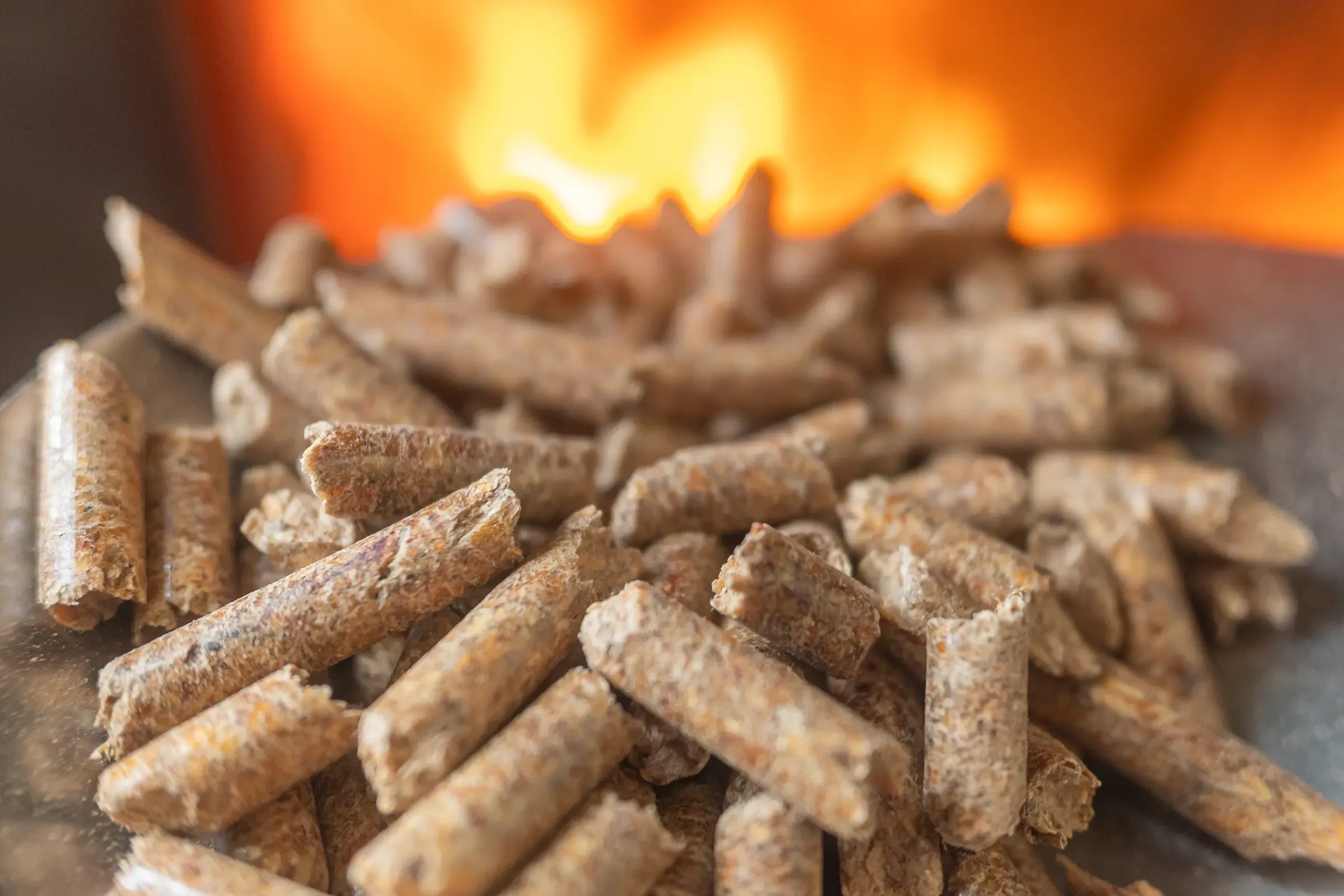 Närbild på pellets framför en brasa